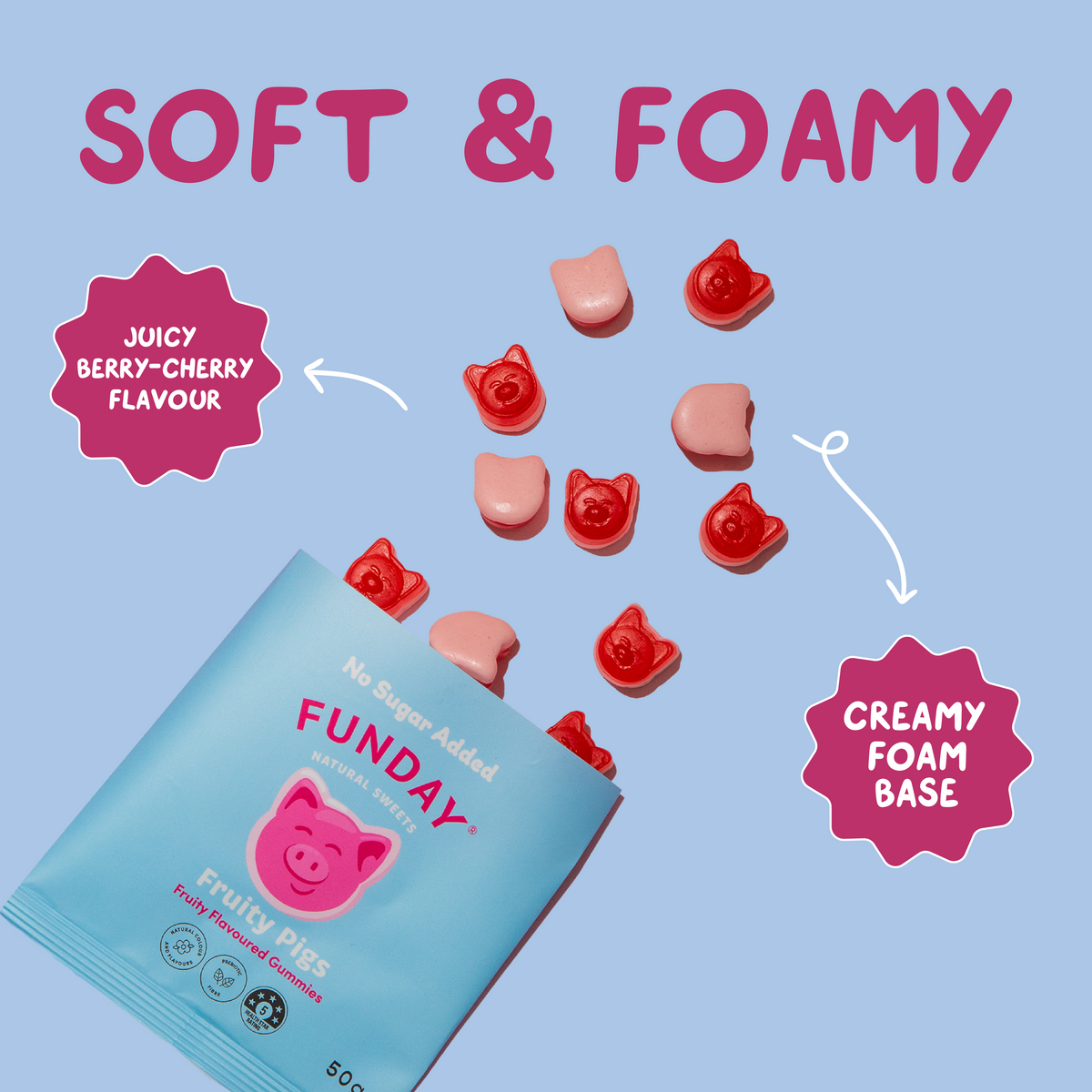 Fruity Flavoured Pigs Gummies (12x50g)